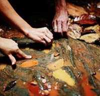 Daintree Eco Lodge And Spa - Accommodation Cooktown