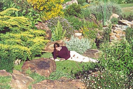 Chesleigh Homestead - Accommodation Cooktown 1