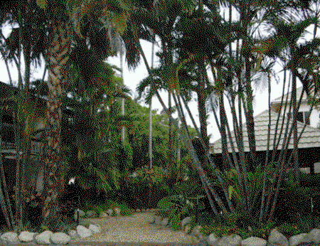 High Chaparral Motel And Apartments - Accommodation Cooktown 1