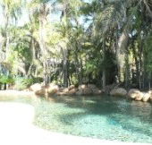 Bushland Beach Tavern - Accommodation Cooktown