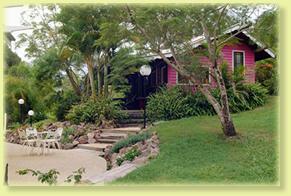 Jacaranda Cottage - Accommodation Cooktown 2