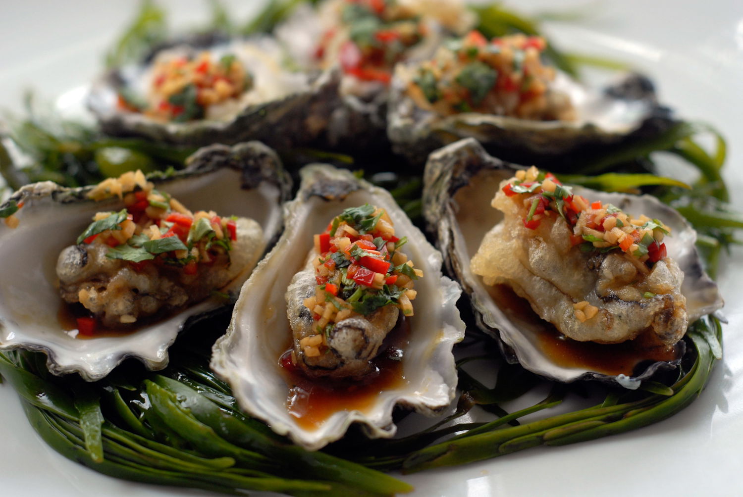 Mollymook NSW Accommodation Cooktown