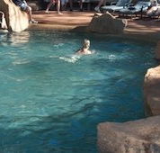 Undara Experience Lava Lodge - Accommodation Cooktown