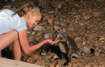 Heaviytrr Gap Outback Lodge - Accommodation Cooktown 5