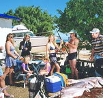 Shark Bay Cottages - Accommodation Cooktown
