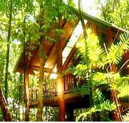 The Canopy Treehouses - Accommodation Cooktown