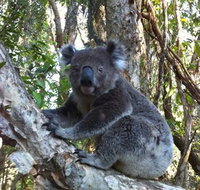 O'Carrollyns At One Mile Beach - Accommodation Cooktown