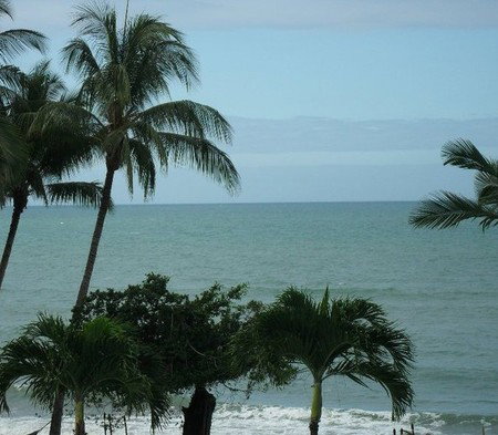 Turtle Cove Beach Resort - Accommodation Cooktown 2