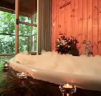 Tree Houses Of Montville - Accommodation Cooktown