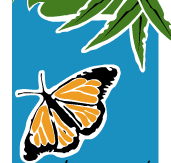 Wanderers Retreat - Accommodation Cooktown