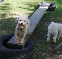 Beenleigh Pet Motel - Accommodation Cooktown