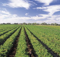 Diplomat Motel amp Restaurant - Accommodation Cooktown