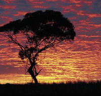 Kimba Caravan Park amp Motel - Accommodation Cooktown