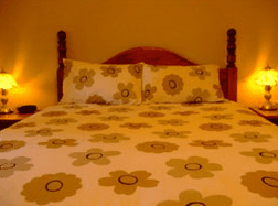 Solomontown SA Accommodation Cooktown