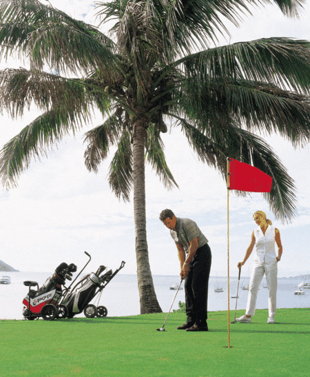 Adventure Island Whitsundays (south Molle Island) - Accommodation Cooktown 2