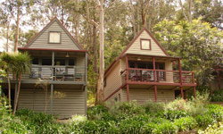 Great Ocean Road Cottages - Accommodation Cooktown 1