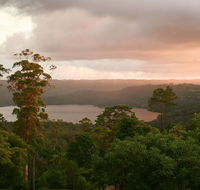 Montville Misty View Cabins - Accommodation Cooktown