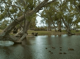 Bordertown Abode Parkland Motel - Accommodation Cooktown 2