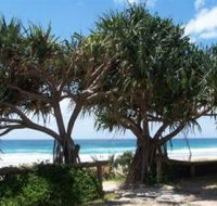 Pacific Surf Absolute Beachfront Apartments - Accommodation Cooktown