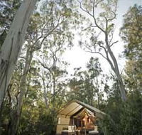 Paperbark Camp - Accommodation Cooktown