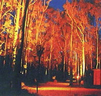 Dwellingup Chalet amp Caravan Park - Accommodation Cooktown