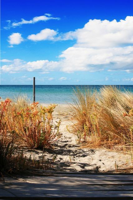 Wittows Beach-House - Accommodation Cooktown 0