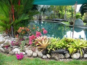 Daintree Wild Bed And Breakfast - Accommodation Cooktown 0