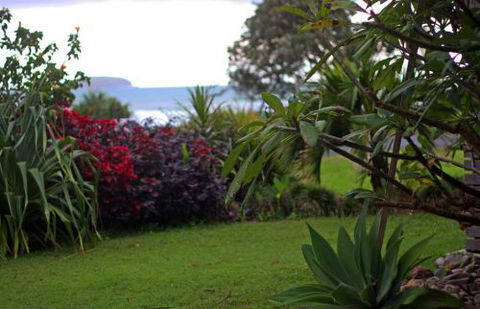 ArtHOUSE Beachfront Accommodation - Accommodation Cooktown 6