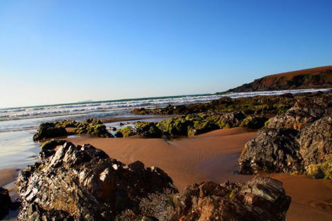 ArtHOUSE Beachfront Accommodation - Accommodation Cooktown 8