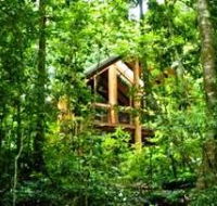 Fur'N'Feathers Rainforest Tree Houses - Accommodation Cooktown
