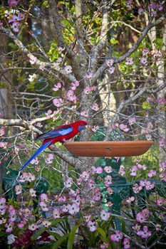 Moments Mountain Retreat - Accommodation Cooktown 17