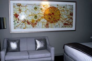 Art Series - The Olsen - Accommodation Cooktown 44