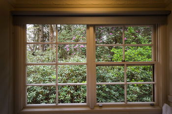 Federation Gardens & Possums Hideaway - Accommodation Cooktown 39