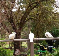 Australian Home Away  Wonga Park Brushy Creek - Accommodation Cooktown