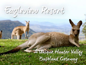 Eagleview Resort - Accommodation Cooktown 45
