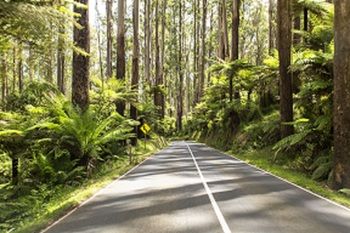 Vibe Hotel Marysville - Accommodation Cooktown 19