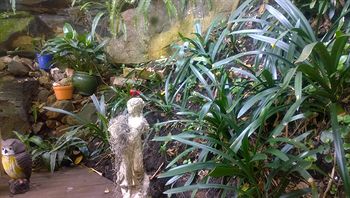 Linley House Bed & Breakfast - Accommodation Cooktown 4