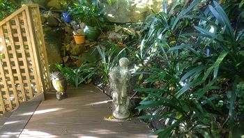 Linley House Bed & Breakfast - Accommodation Cooktown 5