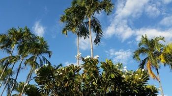 Ibis Styles Katherine - Accommodation Cooktown 17