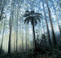 Tower Motel Marysville - Accommodation Cooktown