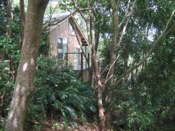 Belle's At Montville - Accommodation Cooktown 0
