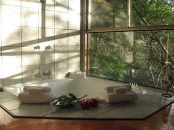 Belle's At Montville - Accommodation Cooktown 13