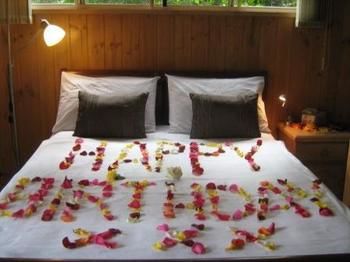 Belle's At Montville - Accommodation Cooktown 19