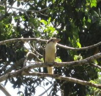 Sunshine Valley Cottages - Accommodation Cooktown