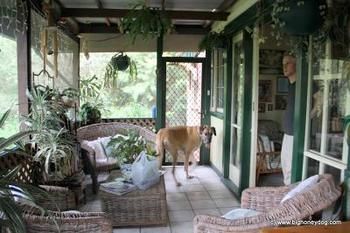 Hamilton Heritage B&B - Accommodation Cooktown 2