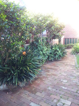 Hamilton Heritage B&B - Accommodation Cooktown 14