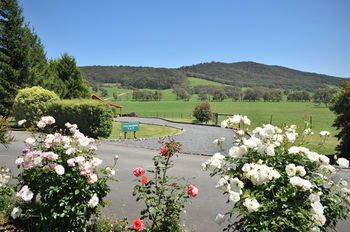 Langbrook Estate Cottages - Accommodation Cooktown 15