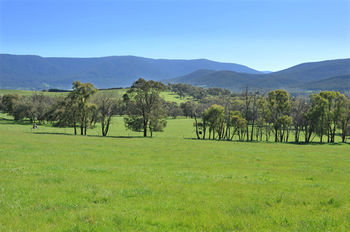 Langbrook Estate Cottages - Accommodation Cooktown 16
