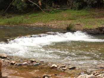 Yabbaloumba Retreat - Accommodation Cooktown 23