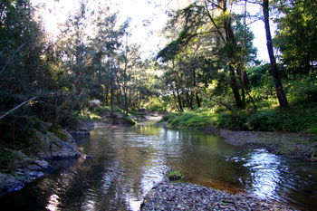 Yabbaloumba Retreat - Accommodation Cooktown 25